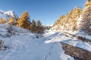 La prima neve autunnale al Calvi-50